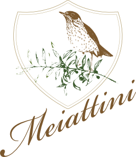 Meiattini Logo